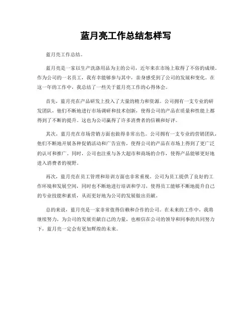 蓝月亮工作总结怎样写