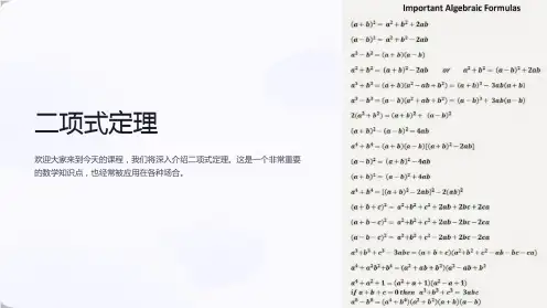 二项式定理(PPT课件)