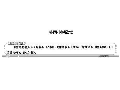 外国小说欣赏PPT课件