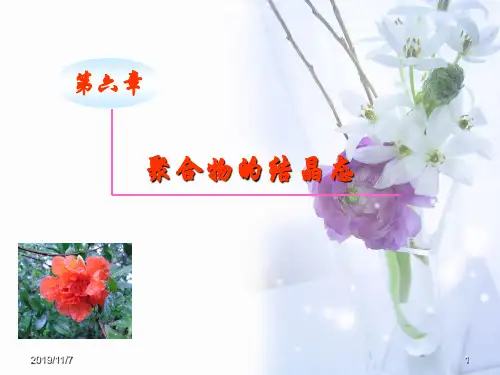 11级高分子物理6 聚合物的结晶态