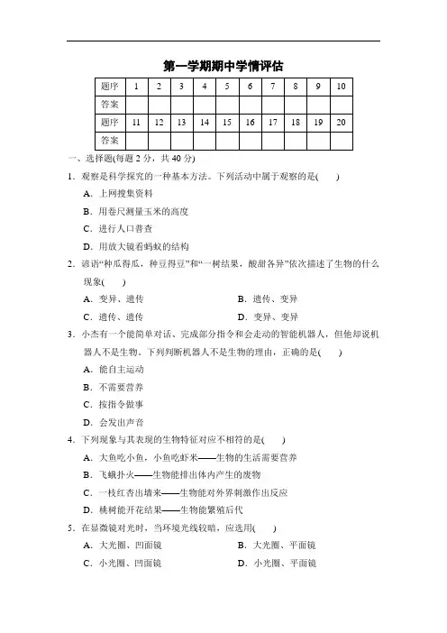 第一学期期中测试卷(含答案)2024--2025学年人教版生物七年级上册
