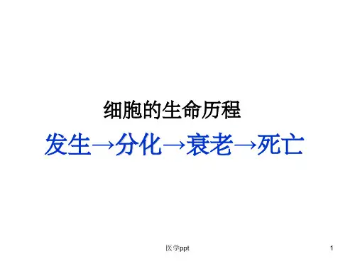 生物：细胞分化、衰老、凋亡、癌变复习