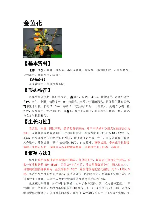金鱼花