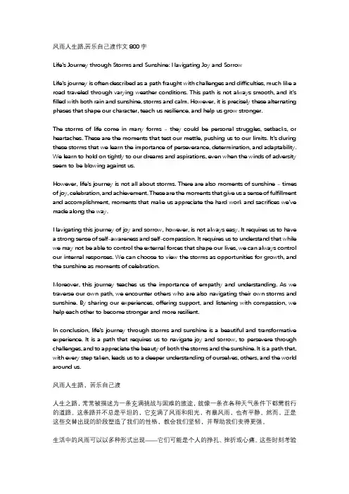 风雨人生路,苦乐自己渡作文800字