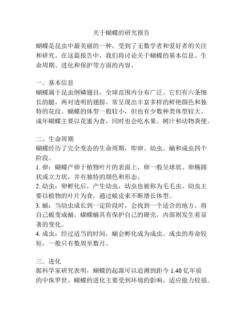 关于蝴蝶的研究报告