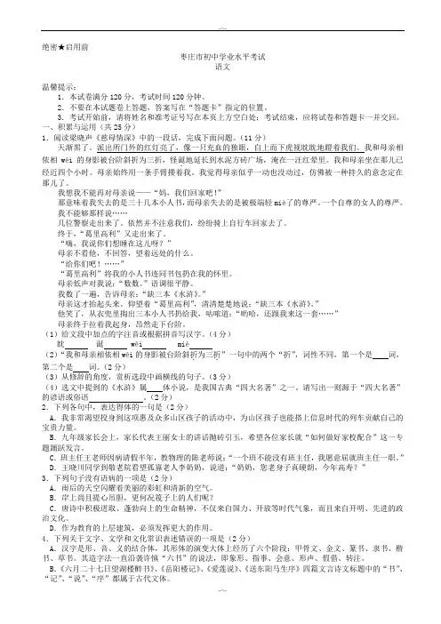 2020届山东枣庄中考语文模拟试卷-试卷(精校版)