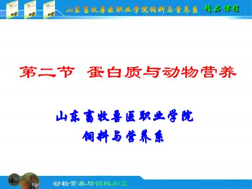 蛋白质与动物营养