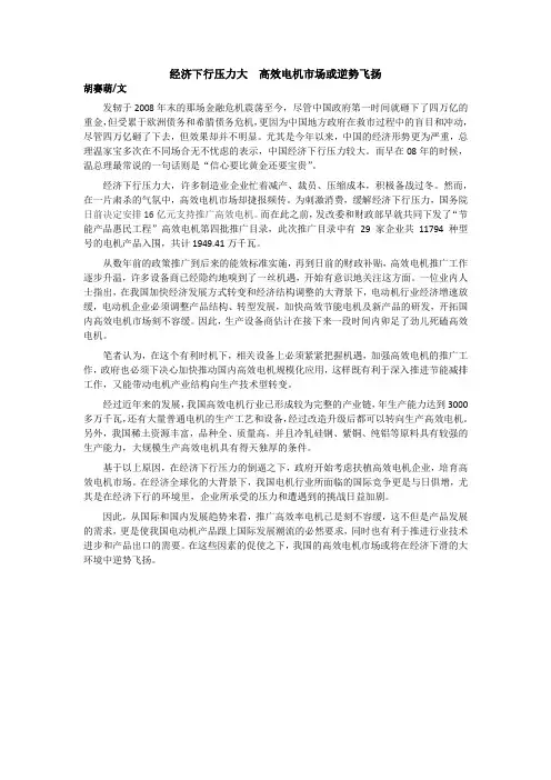 经济下行压力大高效电机市场或逆势飞扬