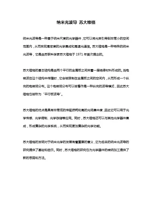 纳米光波导 苏大维格