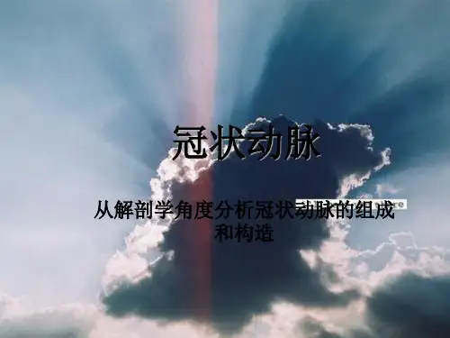 冠状动脉ppt课件