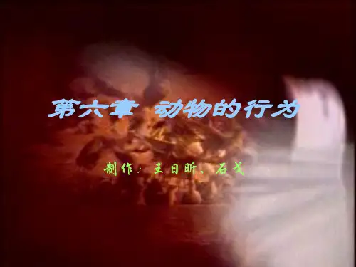 7.动物的行为