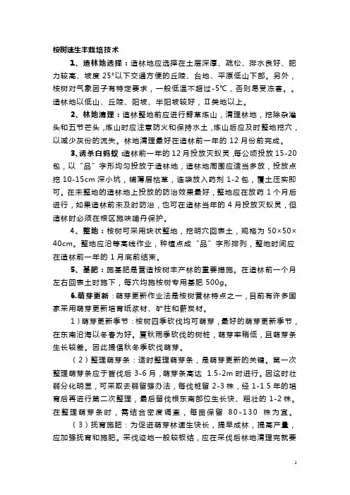 桉树速生丰栽培技术