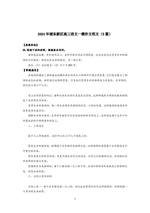 2024届上海市浦东新区高三语文一模作文解析及范文+