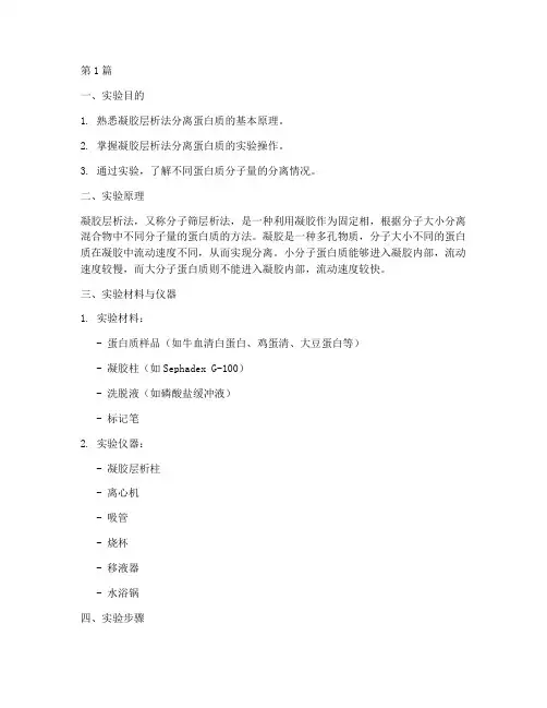 凝胶层法实验报告(3篇)