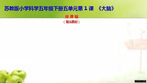 小学科学五年级下册《大脑》PPT课件
