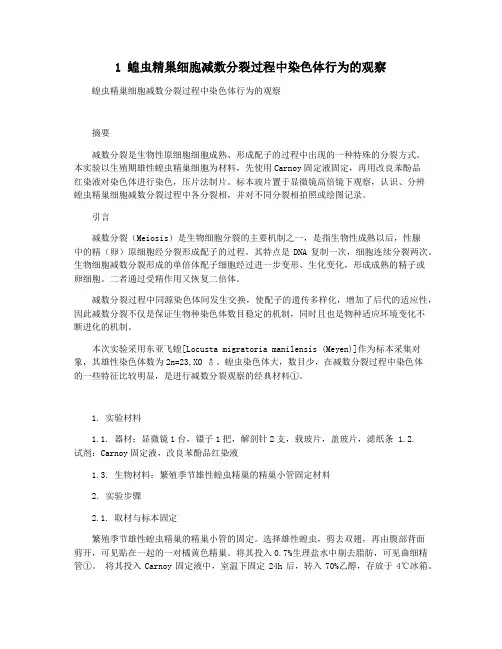 1 蝗虫精巢细胞减数分裂过程中染色体行为的观察