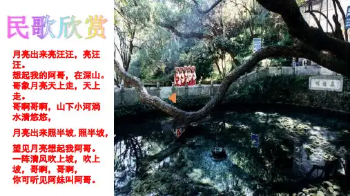 《云南的歌会》PPT