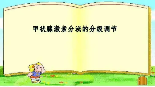 高中生物 甲状腺激素的分级调节 微课课件