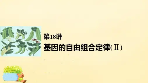 (全国通用)2017版高考生物一轮复习 第五单元 遗传的基本规律 第18讲 基因的自由组合定律(Ⅱ)