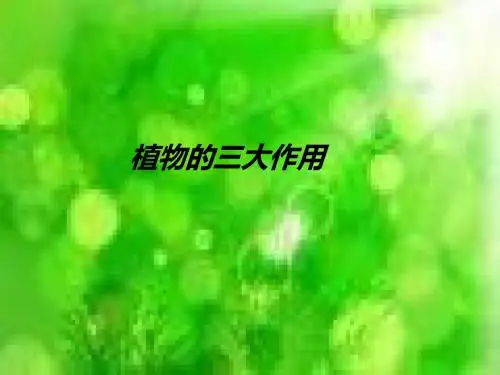 《植物的三大作用(复习)》