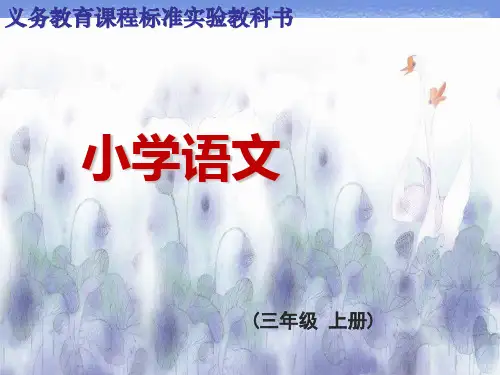 三年级上册《这条小鱼在乎》精品课件