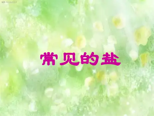 常见盐PPT精品课件