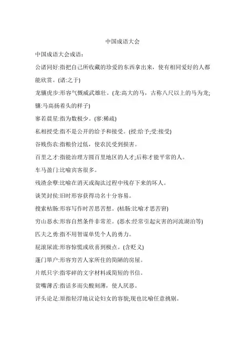 中国成语大会