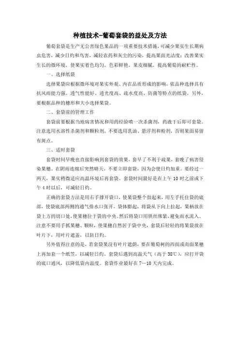 种植技术-葡萄套袋的益处及方法