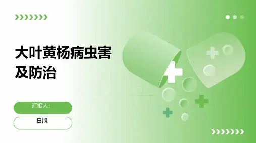 大叶黄杨病虫害及防治