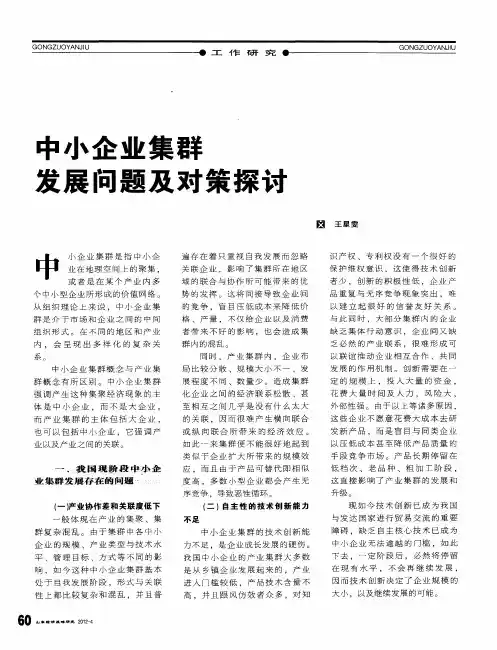 中小企业集群发展问题及对策探讨