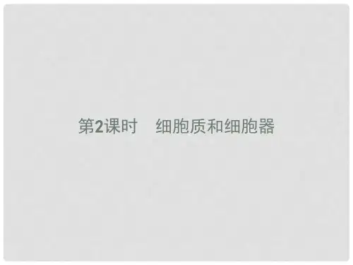 高中生物 第三章 细胞的结构和功能 3.2.2 细胞质和细