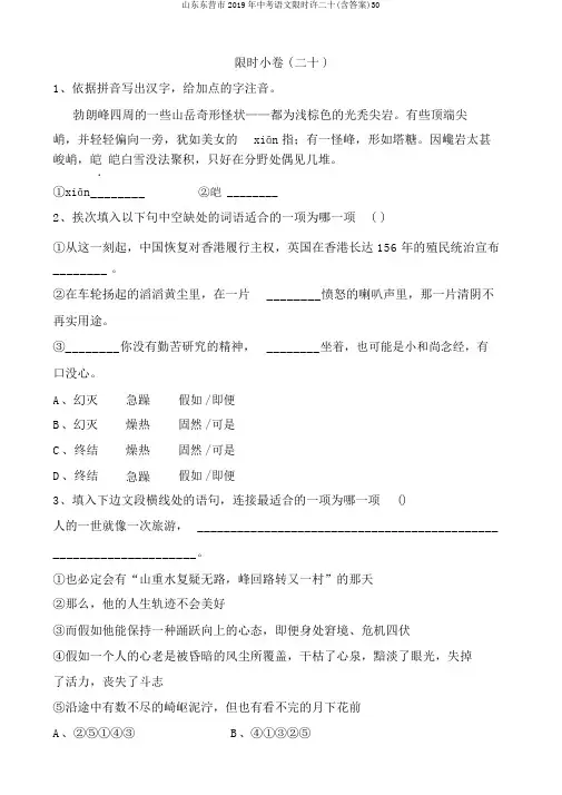 山东东营市2019年中考语文限时许二十(含答案)30
