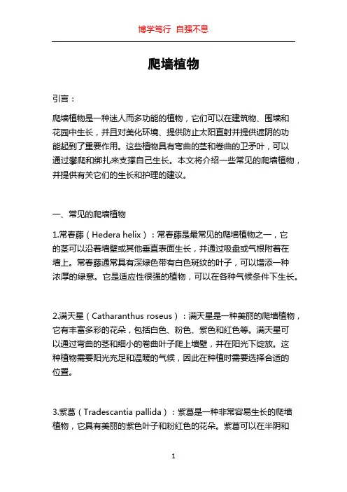 爬墙植物_精品文档