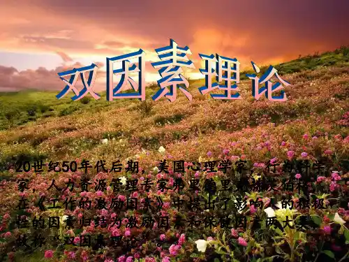 双因素理论