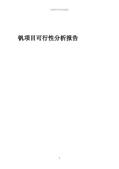钒项目可行性分析报告
