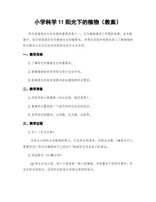 小学科学11阳光下的植物(教案)