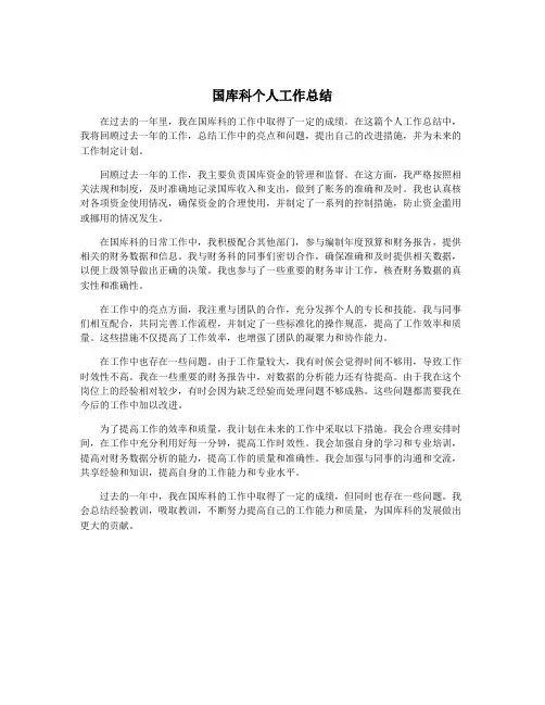 国库科个人工作总结