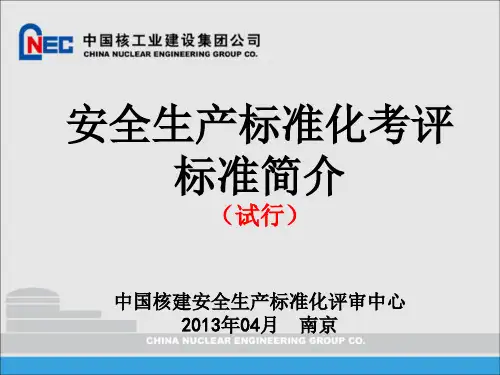 安全生产标准化评审标准(试行)