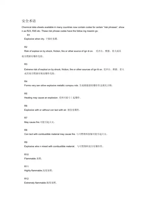风险术语安全术语