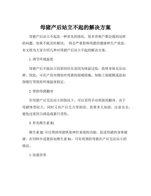 母猪产后站立不起的解决方案