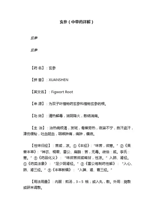 玄参（中草药详解）