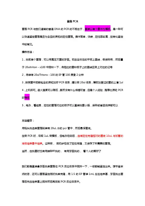 菌落PCR PCR实验技术