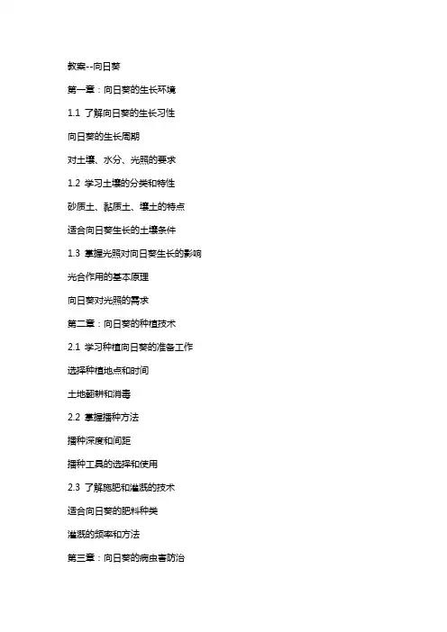 教案--向日葵