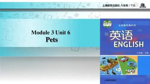 牛津深圳版(广州沈阳通用)八年级下册英语课件：Unit 6
