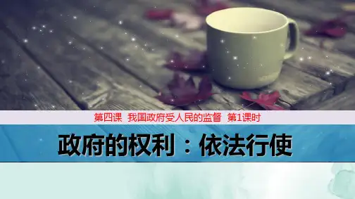 人教版高中政治必修2精品课件7：4.1 政府的权力：依法行使