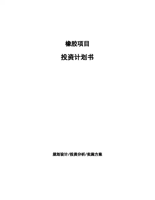 橡胶项目投资计划书