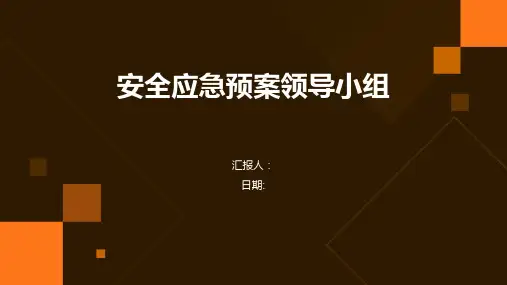 安全应急预案领导小组