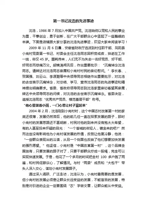 第一书记沈浩的先进事迹