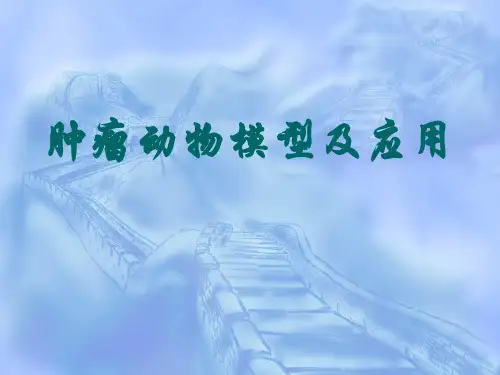 肿瘤动物模型及应用