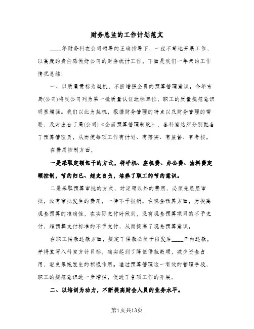 财务总监的工作计划范文(3篇)